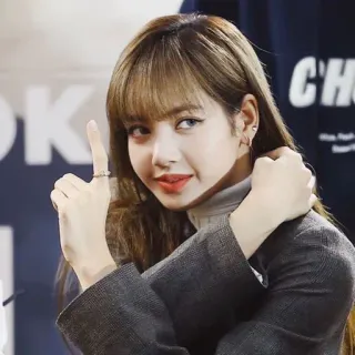 🐬 Lisa Lisa, Blackpink, K-pop, Idole, Chanteuse, Danseuse telegram sticker