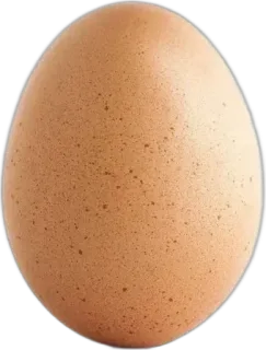 🌟 egg, food, brown, oval, ingredient telegram sticker