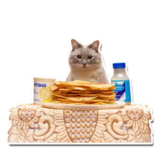Kotonchik telegram stickers