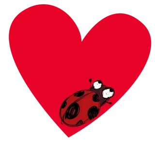 ❤️ mariquita, corazón, insecto, amor, lindo, rojo whatsapp sticker