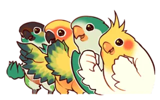 Coca Bird (Xane's Edit) whatsapp stickers