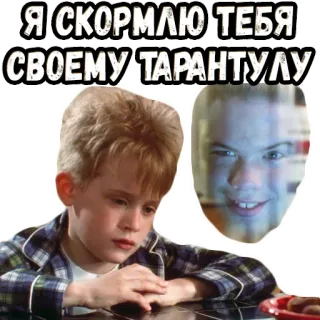 🤔 Я СКОРМЛЮ ТЕБЯ СВОЕМУ ТАРАНТУЛУ tarántula, amenaza, araña, solo en casa whatsapp sticker