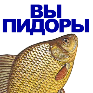 🐠 poisson, animal, aquatique, doré whatsapp sticker