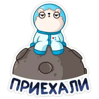 😐 ПРИЕХАЛИ chuột hamster, phi hành gia, mặt trăng, vũ trụ, hài hước, động vật telegram sticker