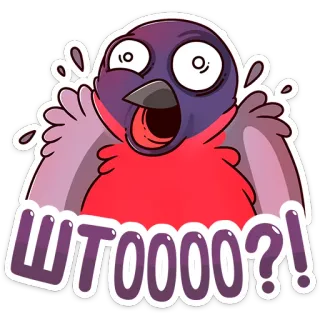 😳 ШТООООО?! burung, terkejut, rusia, pertanyaan, seruan, kejutan telegram sticker