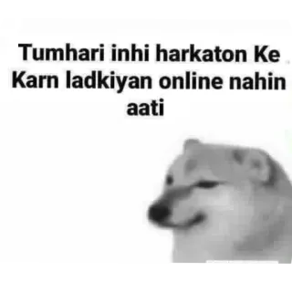 🧥 Cheems Doge Tumhari inhi harkaton Ke Karn ladkiyan online nahin aati telegram sticker