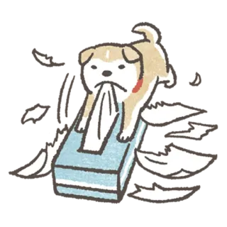 😠 강아지, 새끼 강아지, 티슈, 귀여운, 장난기 있는, 동물 telegram sticker