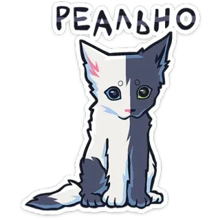 😐 РЕАЛЬНО кот, котенок, животное, милый, сидит, наклейка telegram sticker