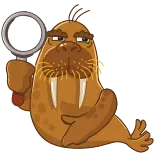 моржи и киты telegram stickers