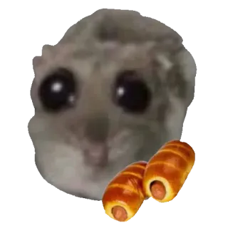 🥧 햄스터, 소시지 롤, 귀여운, 동물, 음식 whatsapp sticker