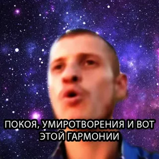 🧘‍♂️ ПОКОЯ, УМИРОТВОРЕНИЯ И ВОТ ЭТОЙ ГАРМОНИИ telegram sticker