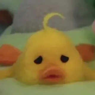 😔 duck, yellow, sad, animal, cute whatsapp sticker