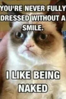🤣 Grumpy Cat YOU'RE NEVER FULLY DRESSED WITHOUT A SMILE. I LIKE BEING NAKED 猫, 表情包, 暴躁猫, 幽默, 讽刺 whatsapp sticker