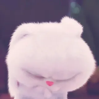 🍧 lapin, lapin, mignon, animal, animal de compagnie, duveteux whatsapp sticker