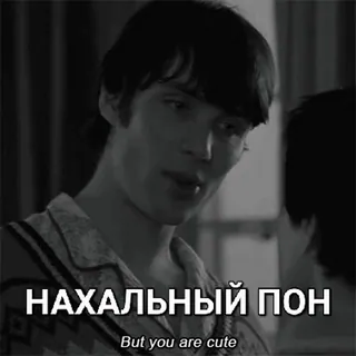 😼 НАХАЛЬНЫЙ ПОН
But you are cute telegram sticker