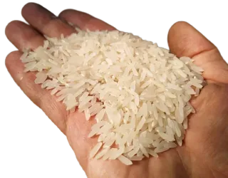 🍙 ryż, zboże, jedzenie, ręka, rolnictwo telegram sticker