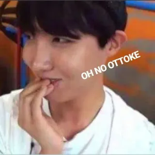 😳 OH NO OTTOKE kpop, j-hope, bts, meme, oh nein, ottoke whatsapp sticker