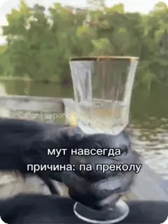 🍷 мут навсегда
причина: па приколу whatsapp sticker