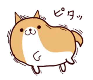 😐 ピョヨーン chien, mignon, animal, illustration, kawaii, japonais whatsapp sticker