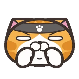 🥷 猫, 动物, 可爱, 卡哇伊 telegram sticker