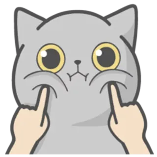 😕 kat, cartoon, schattig, grappig, dier, meme telegram sticker