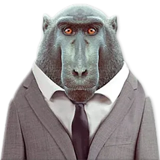 😗 singe, grand singe, costume, cravate, animal, affaires, drôle, mème telegram sticker