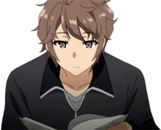 🤔 Sakuta Azusagawa Rascal Does Not Dream of Bunny Girl Senpai Anime, Personaggio, Libro, Lettura, Sakuta Azusagawa, Rascal Does Not Dream of Bunny Girl Senpai telegram sticker