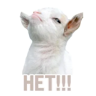 👎 HET!!! capra, animale, disaccordo, no, negativo, russo telegram sticker