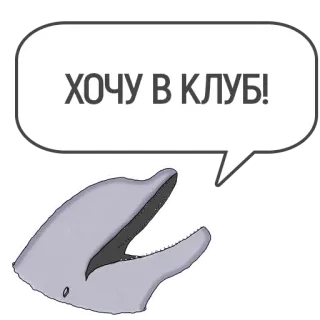 👯‍♀️ ХОЧУ В КЛУБ! delfín, bocadillo, ruso, club, animal, dibujos animados whatsapp sticker