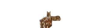 🐈 whatsapp sticker