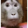 🤯