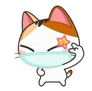 😷 kot, naklejka, słodki, środkowy palec whatsapp sticker