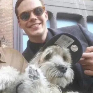 🔗 мужчина, собака, солнцезащитные очки, бейсболка telegram sticker