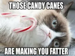🍬 THOSE CANDY CANES ARE MAKING YOU FATTER 猫, 拐杖糖, 搞笑, 表情包, 动物, 幽默, 笑话 whatsapp sticker