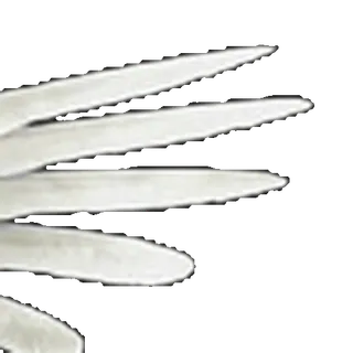 ⭐