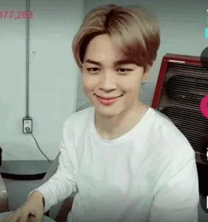 😌 Jimin kpop, idol, zanger, aziatisch, portret telegram sticker