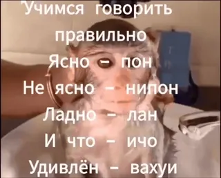 🌟 Учимся говорить
правильно
Ясно - пон
Не ясно - нипон
Ладно - лан
И что - ичо
Удивлён - вахуй monkey, russian language, learning, phrase, translation, slang whatsapp sticker