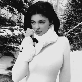 🖤 Kylie Jenner Kylie Jenner, celebrity, winter, snow, portrait telegram sticker