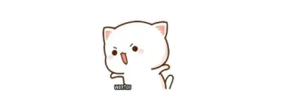 😾 wut gato, enojado, sticker whatsapp sticker