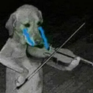 🥺 Hund, Violine, weinen, traurig, lustig, Meme, Tier telegram sticker