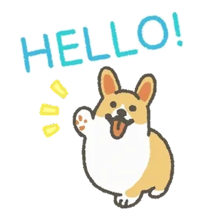👋 HELLO! hond, corgi, hallo, groet, vriendelijk whatsapp sticker