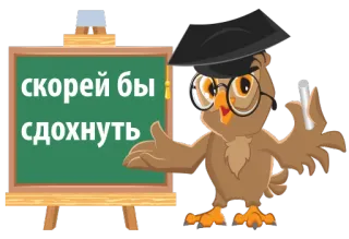 😤 скорей бы сдохнуть coruja, lousa, óculos, chapéu, russo, texto, desenho animado whatsapp sticker