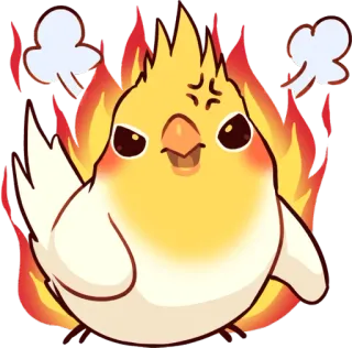 😠 鳥, 怒り, 炎, かわいい, 動物, 絵文字, オカメインコ, 火 telegram sticker