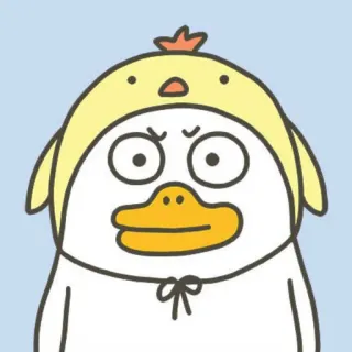 🐣 เป็ด, การ์ตูน, น่ารัก, สัตว์, ลูกเจี๊ยบ, หมวก telegram sticker