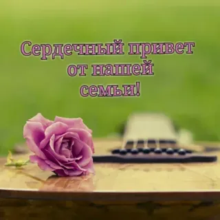 🔆 Сердечный привет от нашей семьи! salam, keluarga, mawar, gitar, pesan, cinta telegram sticker