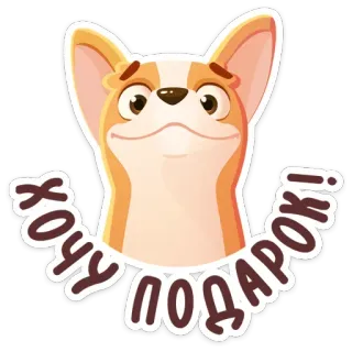 🎁 хочу подарок! corgi, cachorro, presente, quero, desenho animado telegram sticker