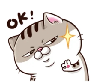 👌 ok! Katze, Ok, Emoji, Zustimmung, Cartoon, Tier whatsapp sticker