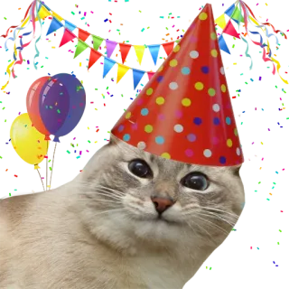 🎊 cat, party, birthday, celebration, animal, pet telegram sticker