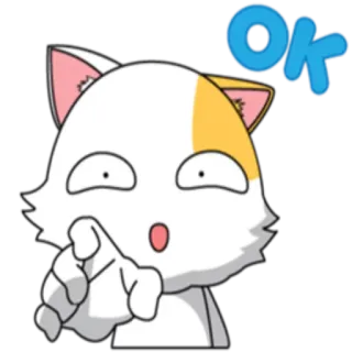👌 OK 猫, 指, 好的, 批准, 贴纸 whatsapp sticker