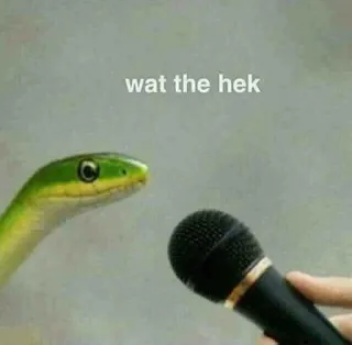 ⁉️ wat the hek rắn, meme, hài hước, động vật, micro, cái quái gì telegram sticker